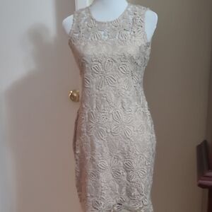 Calvin Klein Lace Midi Dress in Beige